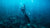 Spearfishing Thermals