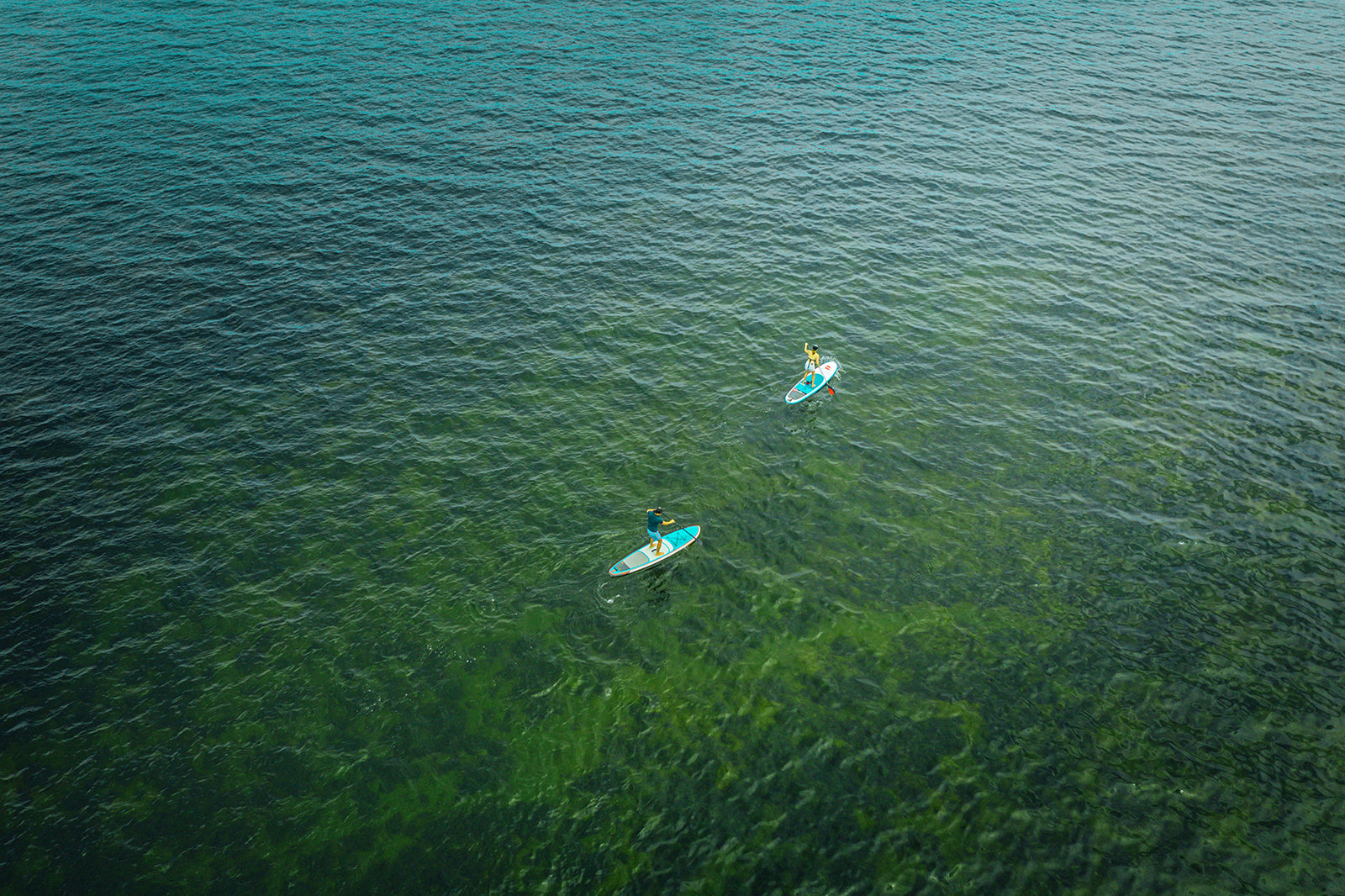 SUP Wetsuits | Stand Up Paddleboard Wetsuits