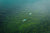 SUP Wetsuits | Stand Up Paddleboard Wetsuits