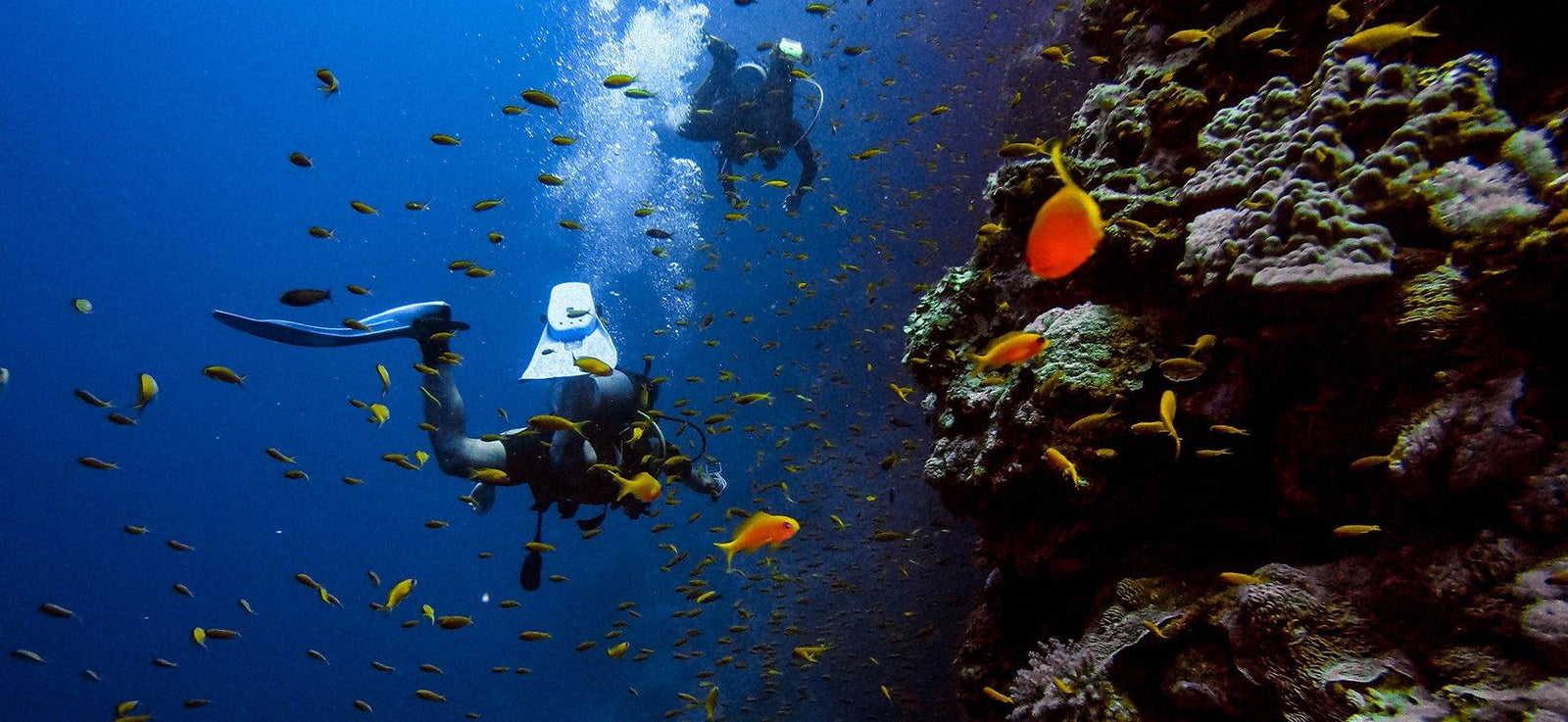 Scuba Diving Accessories