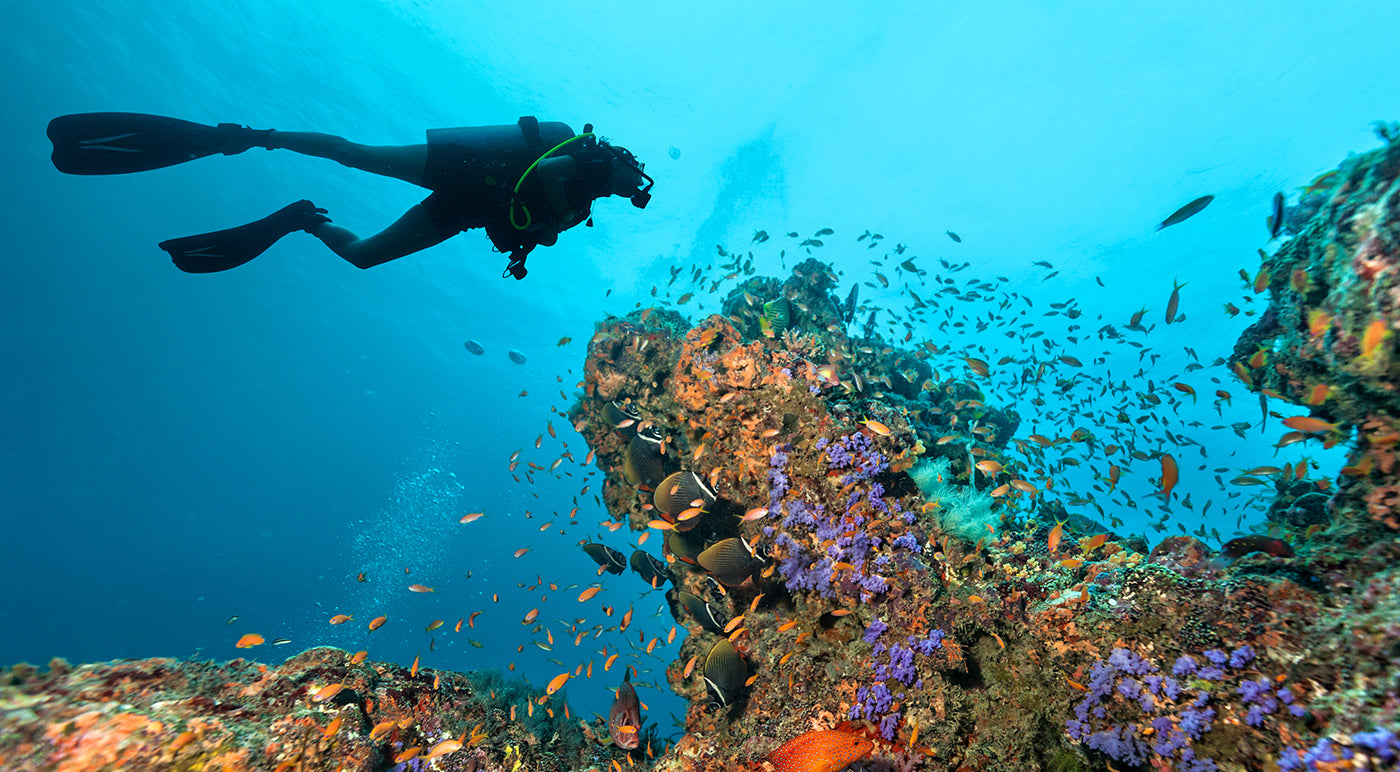 Scuba Diving Clothing