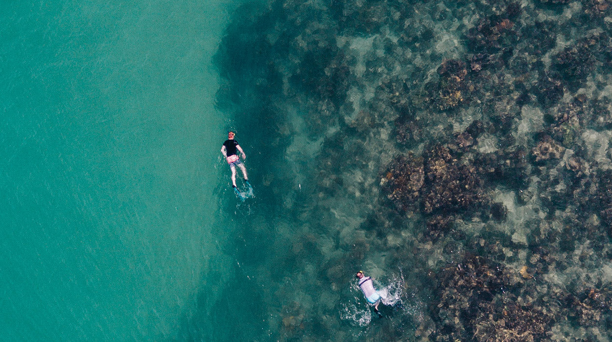 Freediving Rash Guards