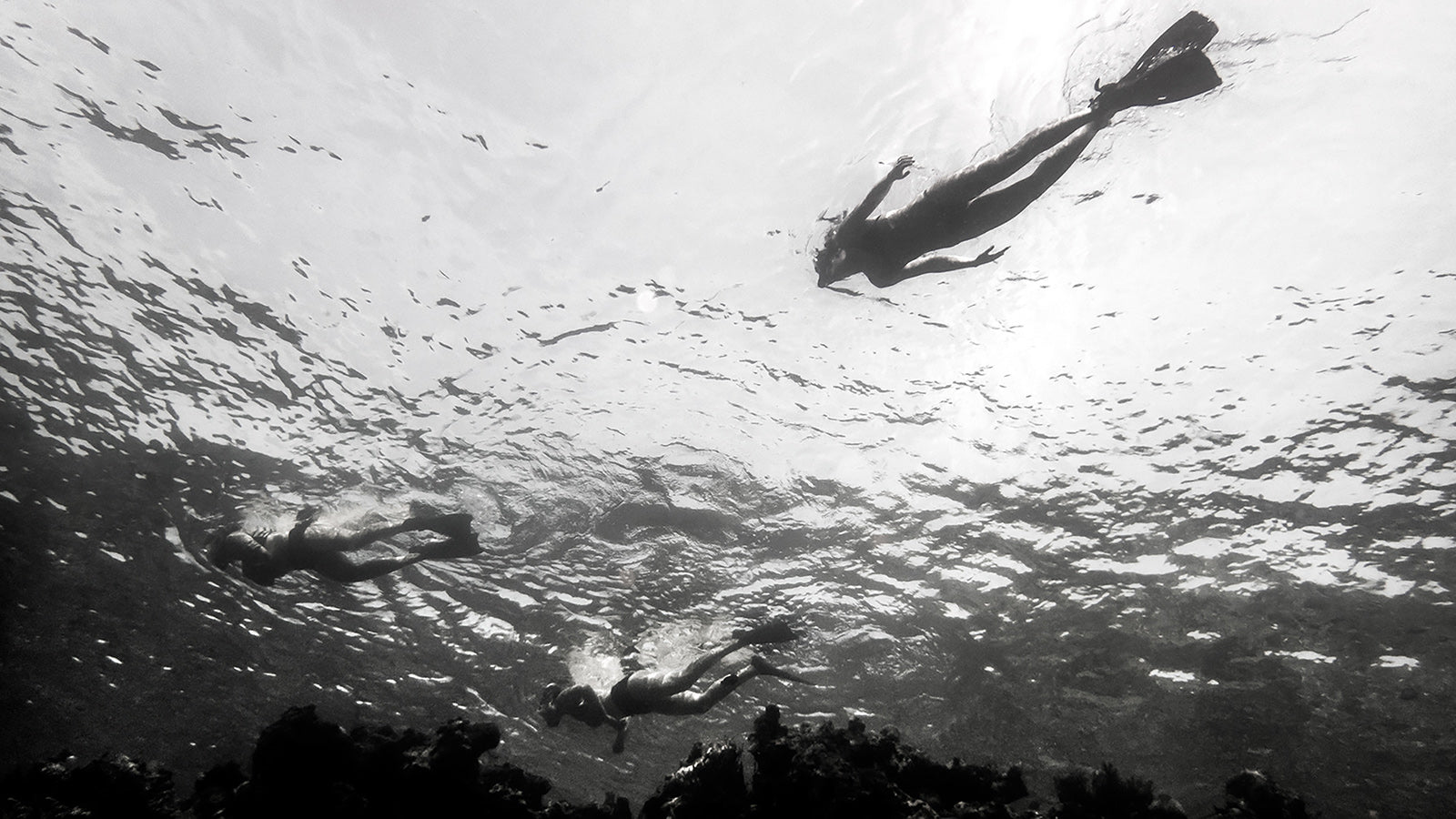 Snorkelling Wetsuits