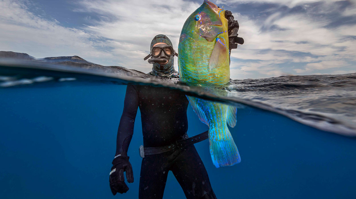 Men's Spearfishing Two Piece Wetsuits