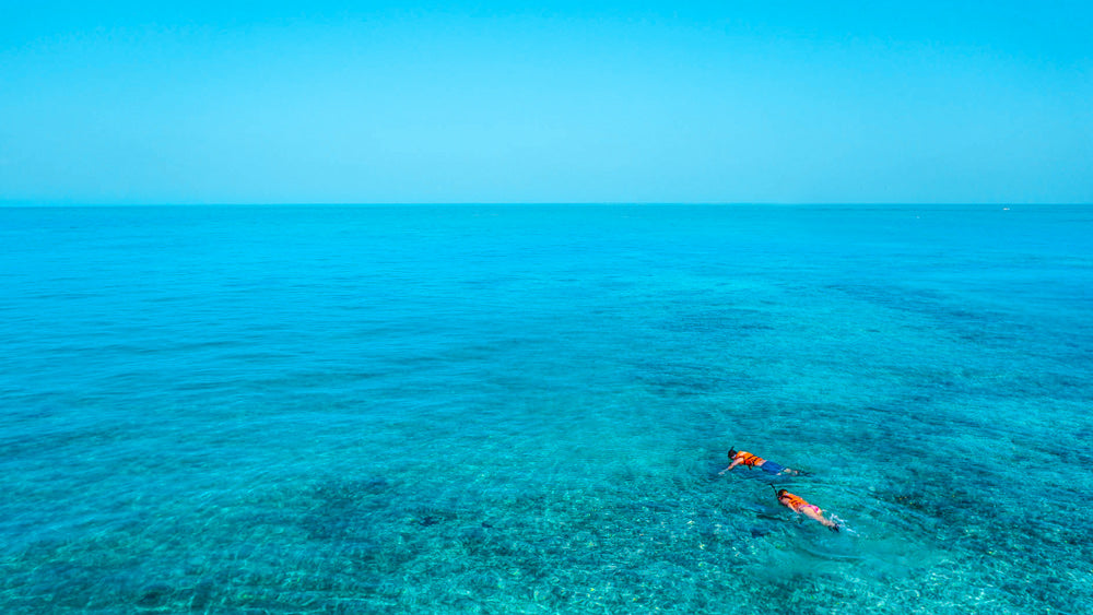 Snorkelling Sun Shirts