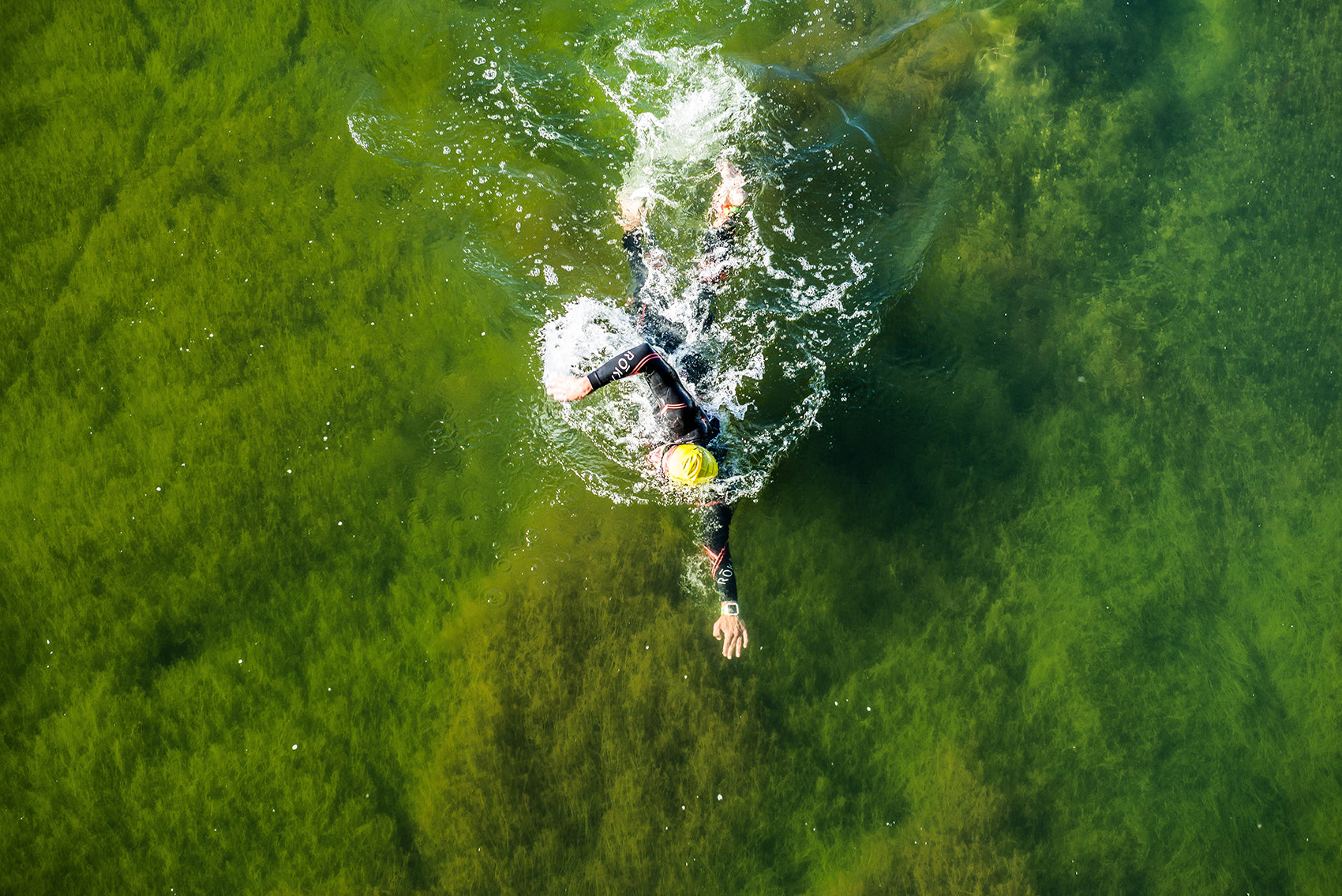 Swimming Accessories