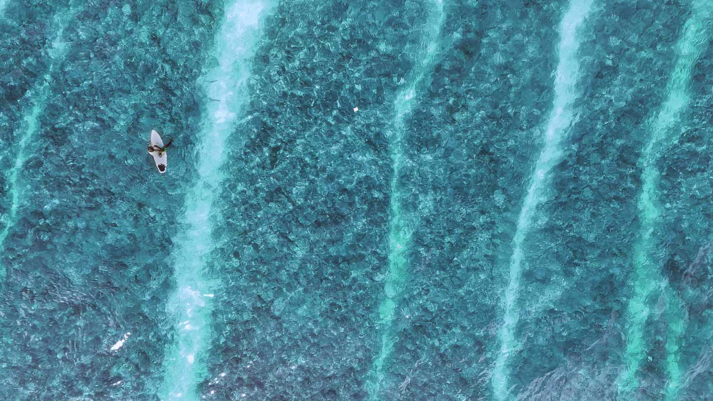 Womens Wetsuit Shorts