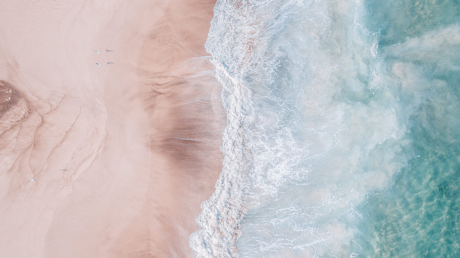 Womens Thermal Pants and Shorts