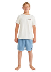 Billabong Boys All Day Layback Boardshorts
