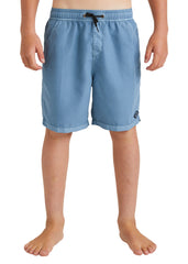 Billabong Boys All Day Layback Boardshorts