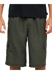 Billabong Mens Throw on 3.0 Boardshort