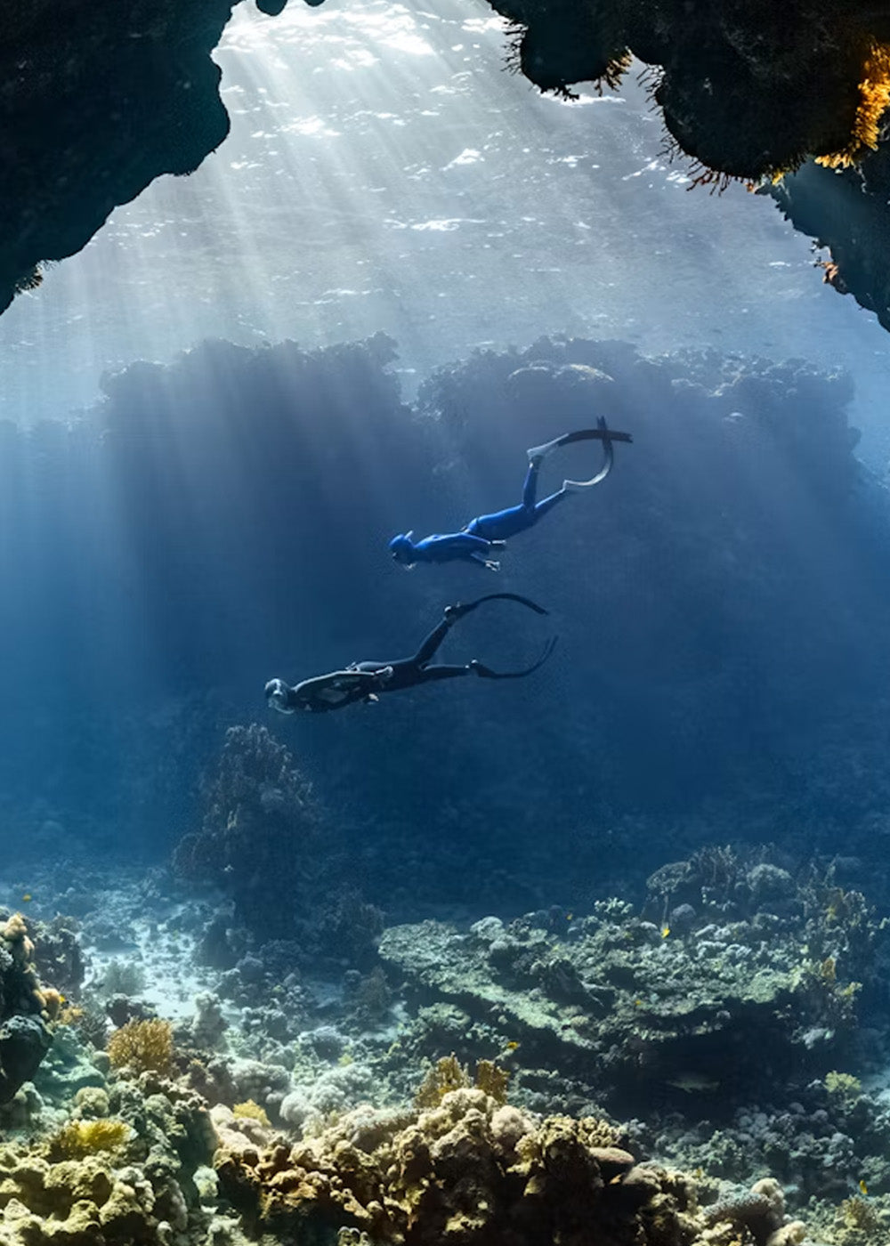 Dive sale