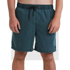 Billabong Mens All Day Layback Boardshorts