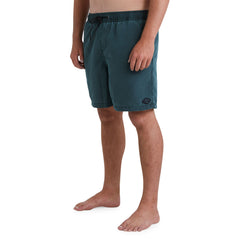 Billabong Mens All Day Layback Boardshorts